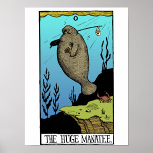 Grande affiche Manatee