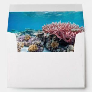 Grande barrière de corail enveloppe doublure adre