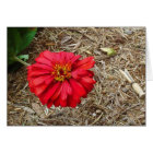 Grande carte à fleurs rouges