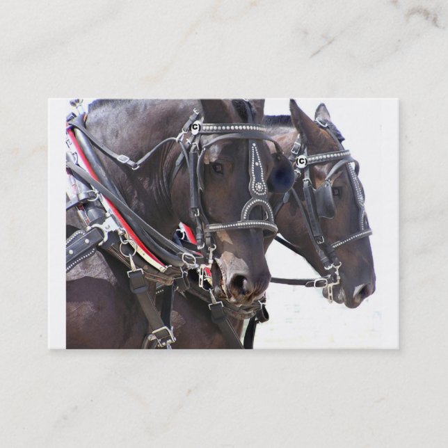 Grande carte de profil de chevaux (Devant)