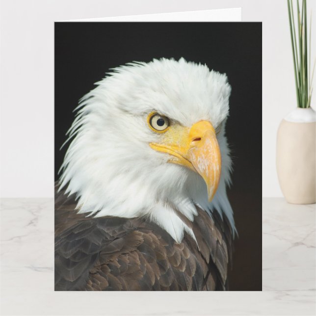 Grande carte de voeux - Aigle d'oiseaux naturels (Devant)