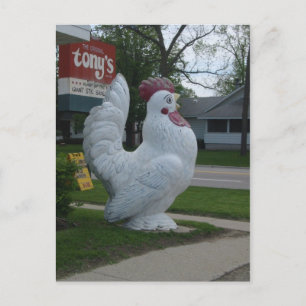 Grande carte postale de poulet