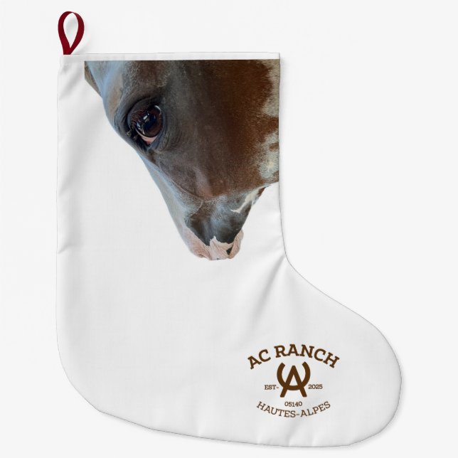 Grande Chaussette De Noël ac ranch couverture (Devant)