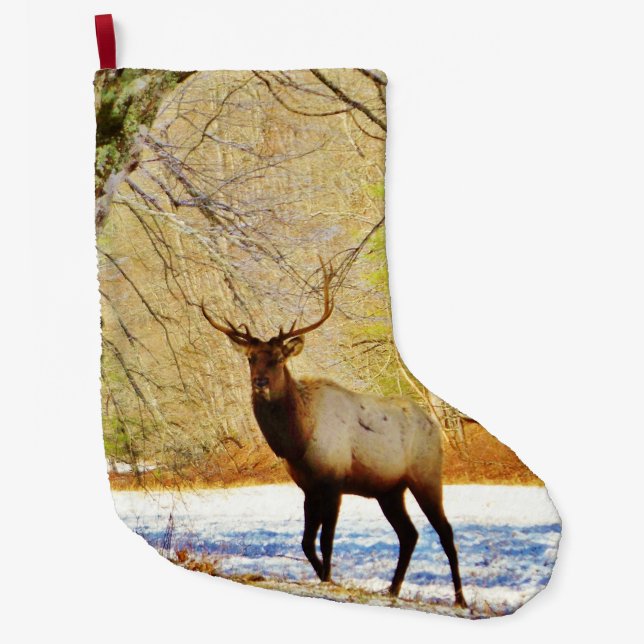 Grande Chaussette De Noël Aigle taureau en Neige (Devant)