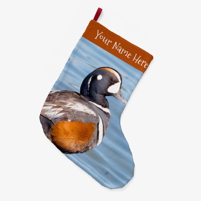 Grande Chaussette De Noël Beau canard arlequin à la plage (Devant (Accrochage))