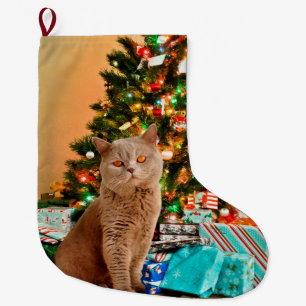 Grande Chaussette De Noël Chat avec Arbre de Noël décoré et boîtes cadeaux