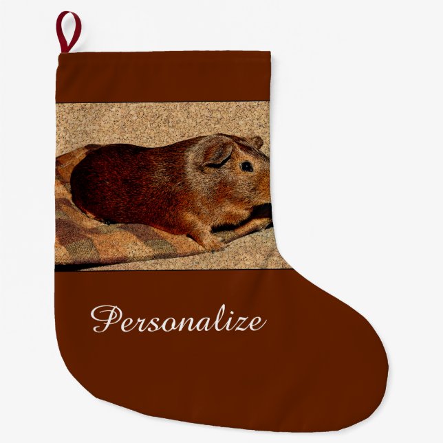 Grande Chaussette De Noël Cobaye de regard de Corkboard (Devant)