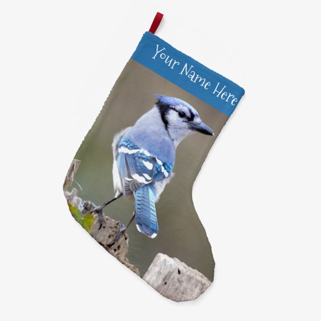Grande Chaussette De Noël Colibri bleu Jay sur la souche d'arbre (Devant (Accrochage))