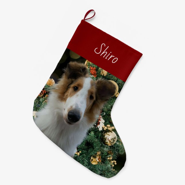 Grande Chaussette De Noël Collie Christmas Stocking (Devant (Accrochage))