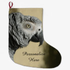 Congo Perroquet gris avec plumes rouillées