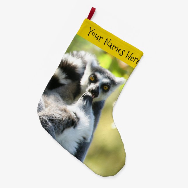 Grande Chaussette De Noël Des lémuriens de Madagascar surpris (Devant (Accrochage))