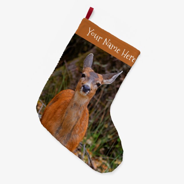 Grande Chaussette De Noël Funny Young Blacktail Deer sourit à un photographe (Devant (Accrochage))