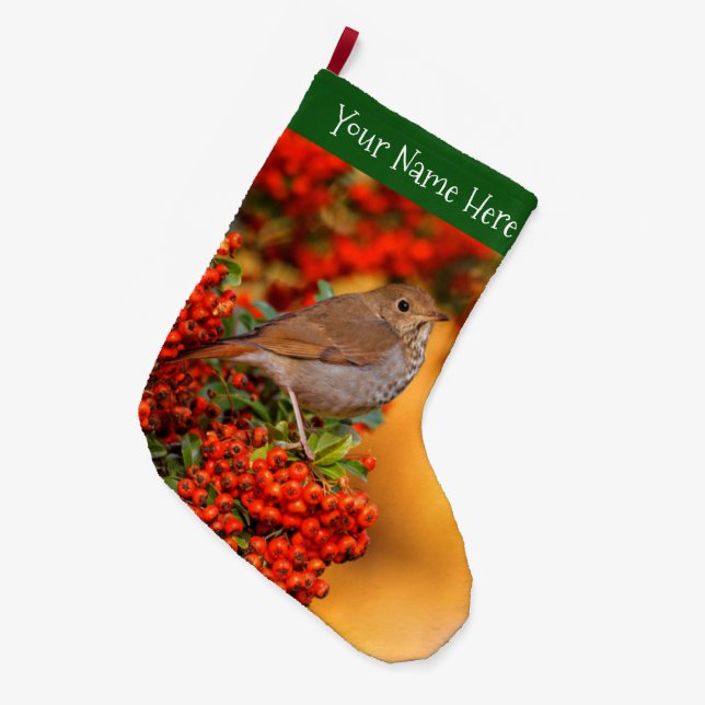 Grande Chaussette De Noël Hermite Thrush Songbird sur l'araignée de feu (Devant (Accrochage))