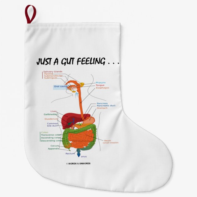 Grande Chaussette De Noël Juste Un Sentiment D'Incrédulité... Humour de syst (Devant)