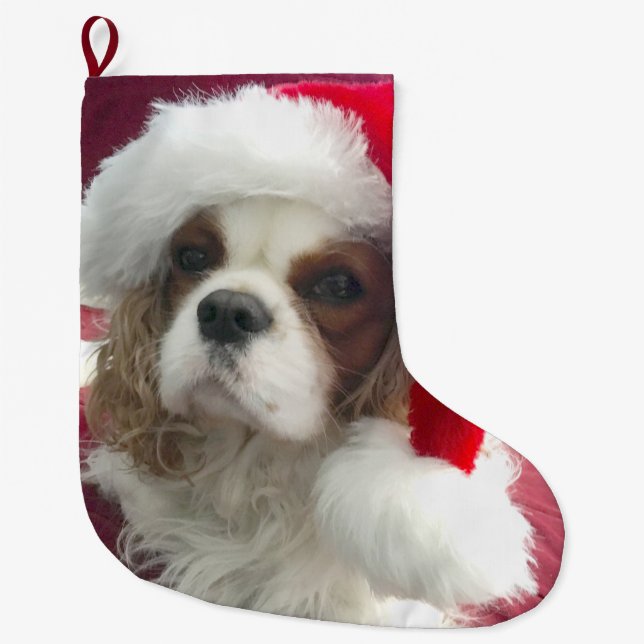 Grande Chaussette De Noël Le réveil de Noël de Blenheim Cavalier (Devant)