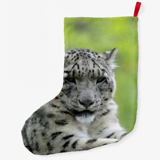Grande Chaussette De Noël Leopard_2015_0310 (Dos)