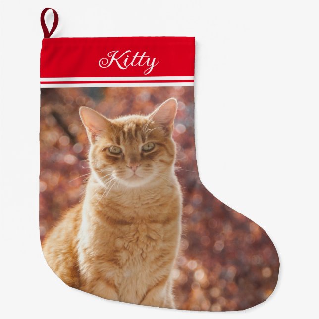Grande Chaussette De Noël mignon animal Christmas Chat Photo Petit (Devant)