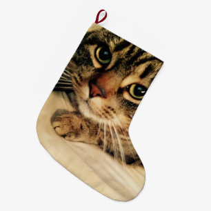 Grande Chaussette De Noël Petit chat Noël Stocker