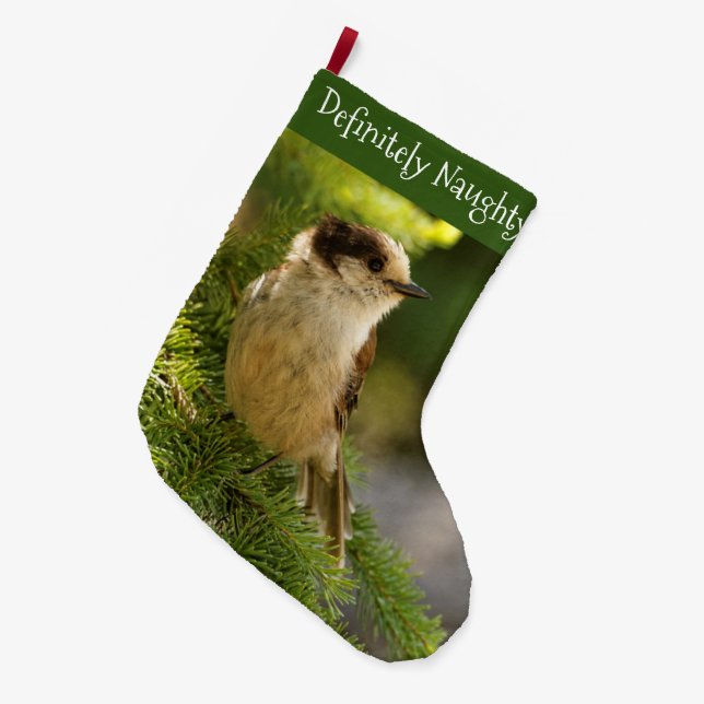 Grande Chaussette De Noël Profil d'un joli Jay gris / Songjack à whisky (Devant (Accrochage))
