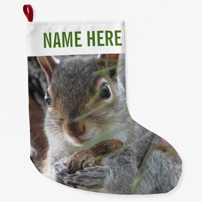Grande Chaussette De Noël Un écureuil mignon avec l'amusement de vacances de (Devant)