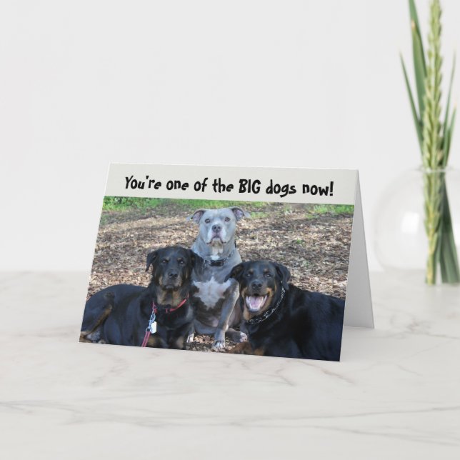 Grande Chiens maintenant carte d'études (Devant)