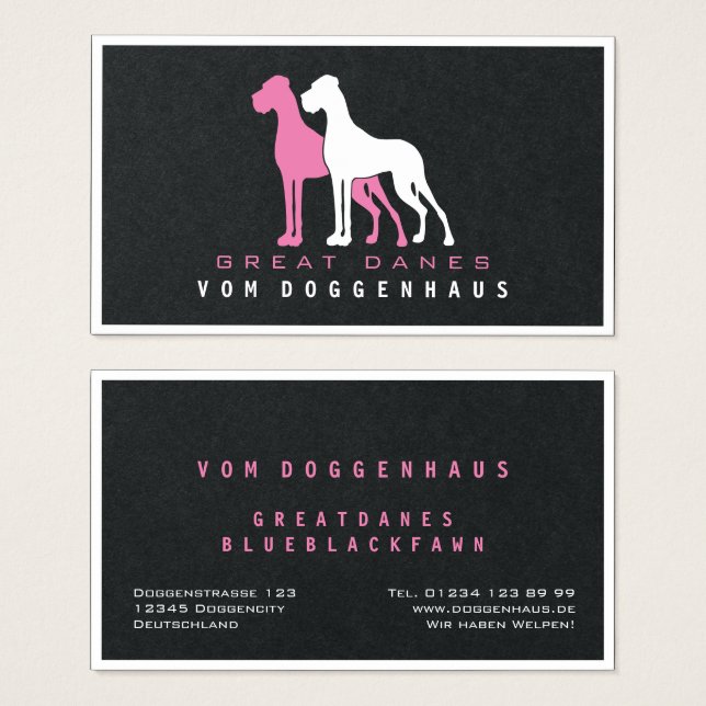 Grande Dane pure (Devant & derrière)