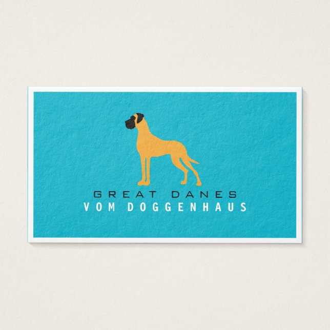 Grande Dane pure (Devant)