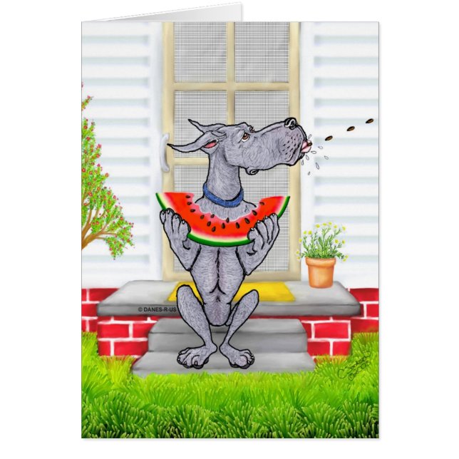 Grande Dane SPIT Bleu (Devant)