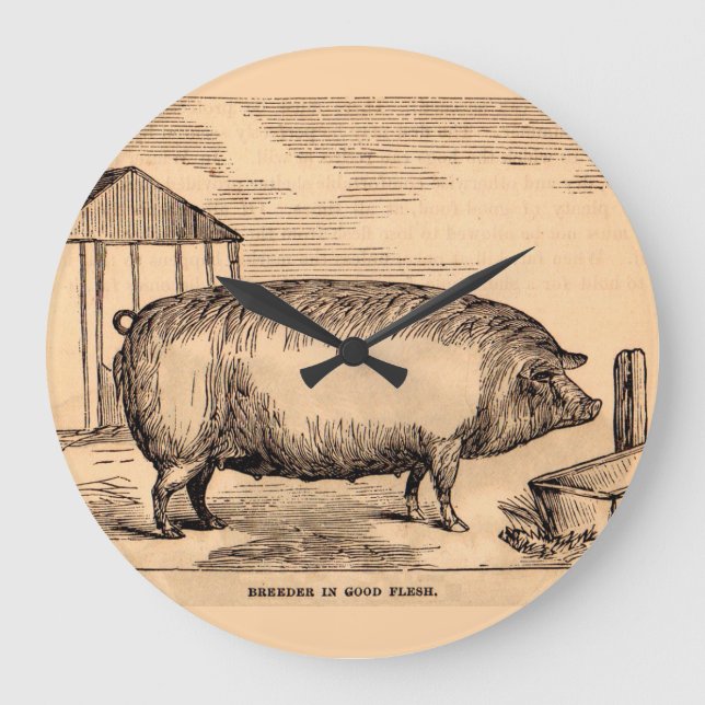 Grande Horloge Ronde 19th century pit 'Breeder in Good Flesh' (Recto)