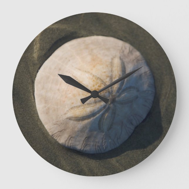 Grande Horloge Ronde A Sand Dollar (Recto)