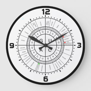 Grande Horloge Ronde ADN messagère à la ROUE de CODON d'ACIDE AMINÉ