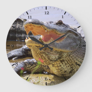 Grande Horloge Ronde Alligator américain