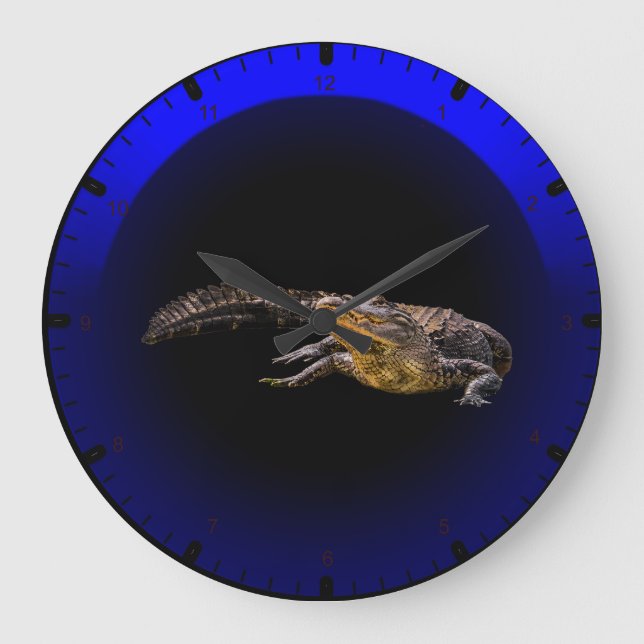Grande Horloge Ronde Alligator de Floride (Recto)