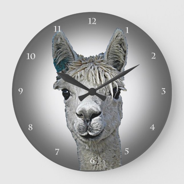 Grande Horloge Ronde Alpaca Time (Recto)