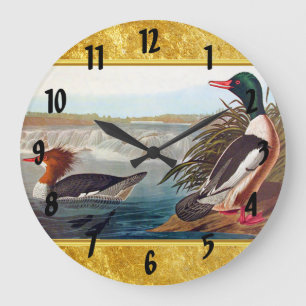 Grande Horloge Ronde American mallard ducks in a lake swimming