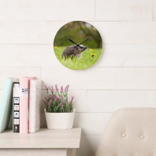 Grande Horloge Ronde Animaux de bébés cutest   Hérisson européen