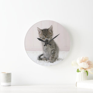 Grande Horloge Ronde Animaux de bébés cutest   Licking Tabby Kitten