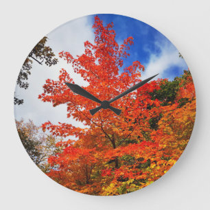 Grande Horloge Ronde Arbre d'automne