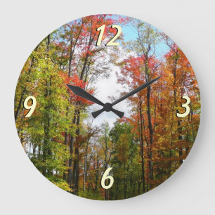 Grande Horloge Ronde Arbres d'automne et ciel bleu Photographie de la n