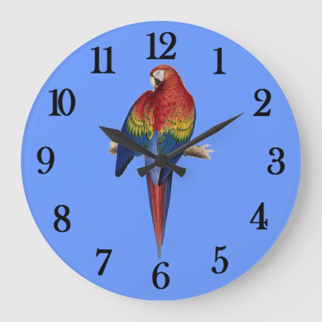 Grande Horloge Ronde Arrière - plan bleu perroquet rouge (Recto)