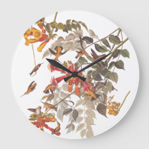 Grande Horloge Ronde Audubon's Ruby