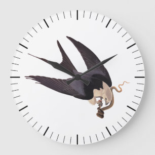 Grande Horloge Ronde Avaler Queue Hawk avec Serpent Vintage Audubon