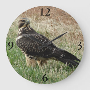 Grande Horloge Ronde B52 Swainson's Hawk