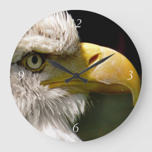 GRANDE HORLOGE RONDE BALD EAGLE