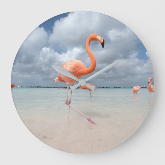Grande Horloge Ronde Beaches tropicales | Flamingos Beach, Aruba (Recto)