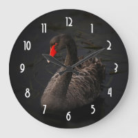 Beau cygne noir avec un bec rouge vif