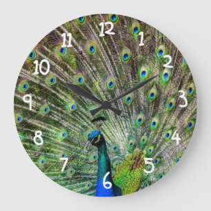 Grande Horloge Ronde Beau Peacock