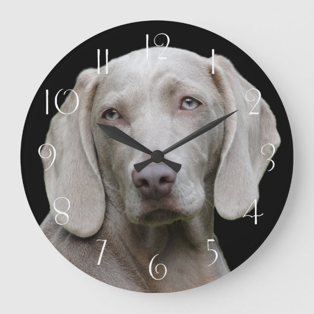 Grande Horloge Ronde Beau Weimaraner chasseur de chiens (Recto)