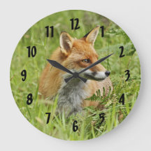 Belle Renard Rouge / Vixen