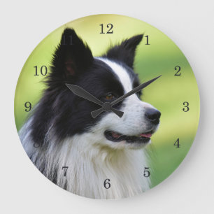 Grande Horloge Ronde Black and White Border Collie Dog